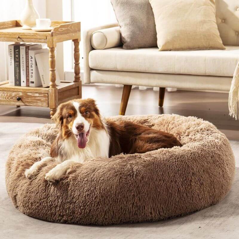 My Furry Friend™: la cama para perros número uno del mundo para aliviar la ansiedad