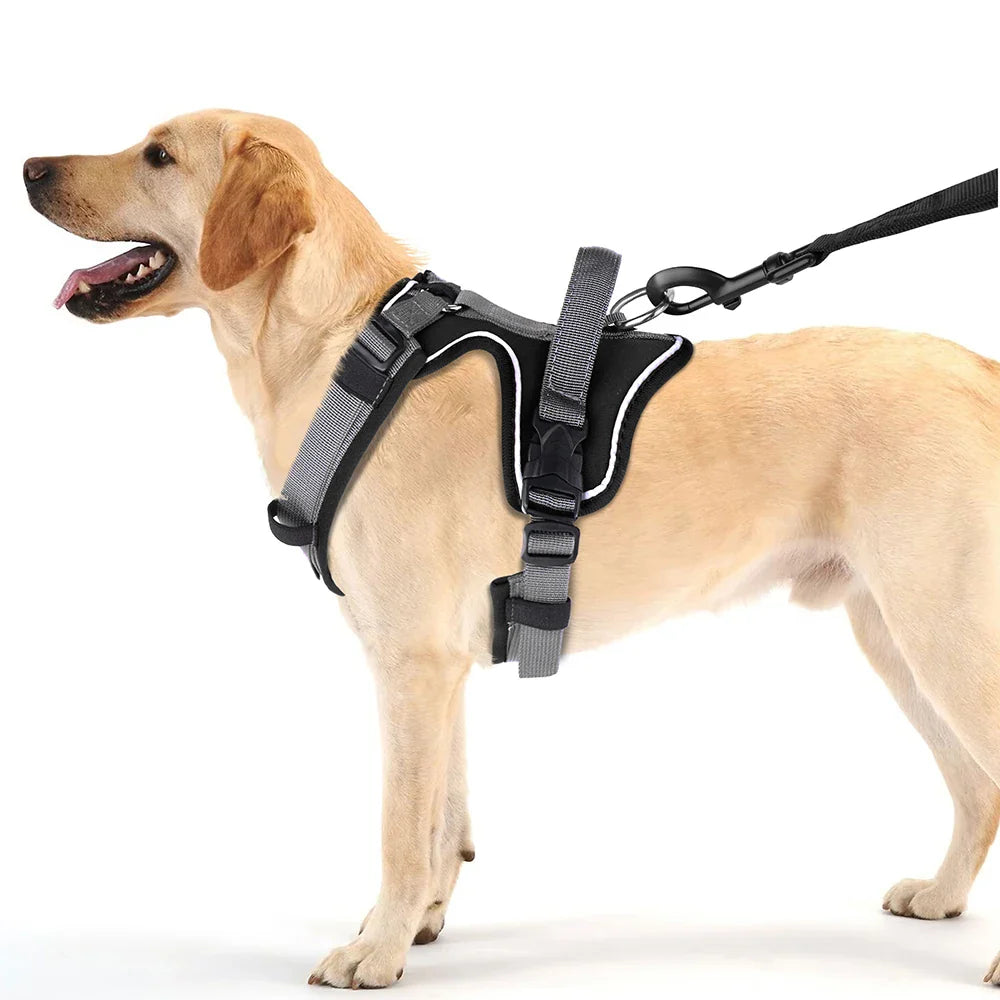 Pawfey Agile Dog Harness with Reflective Design and Strong Handle