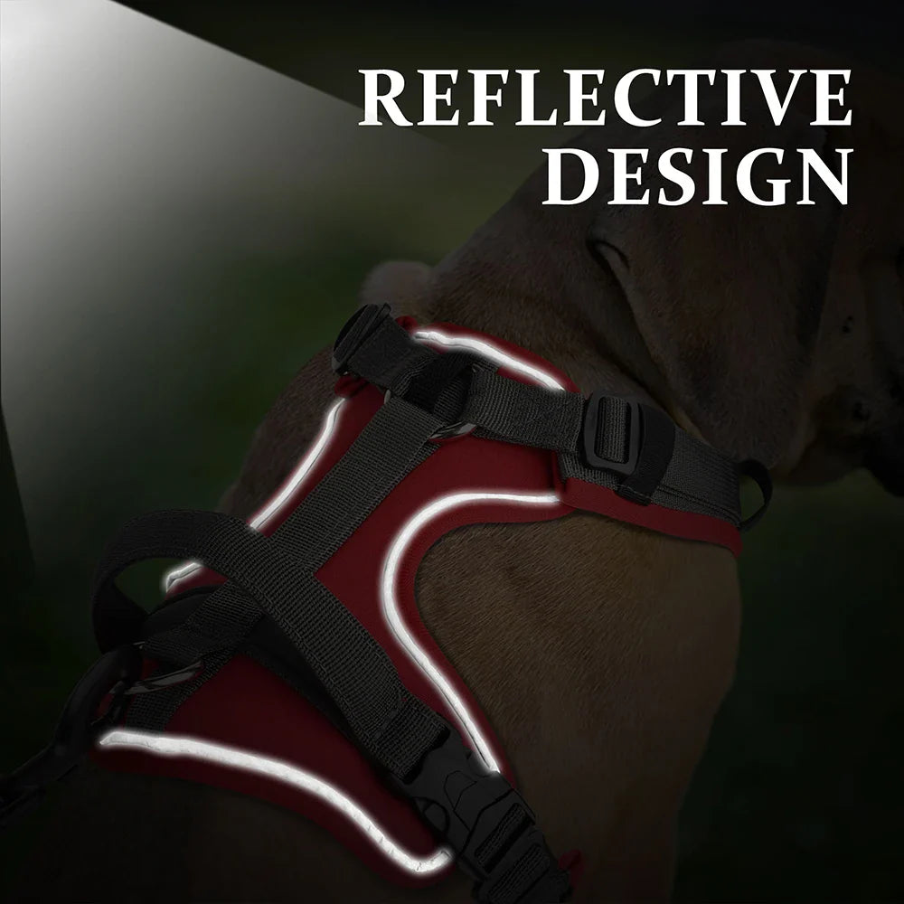 Pawfey Agile Pettorina per cani con design riflettente e maniglia robusta