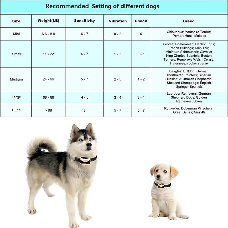 Prémium Állítható Anti-Bark Kutyaképző Nyakörv