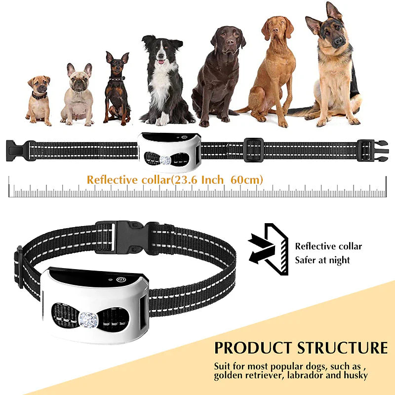 Recinto per cani wireless 2 in 1 e collare da addestramento per esterni