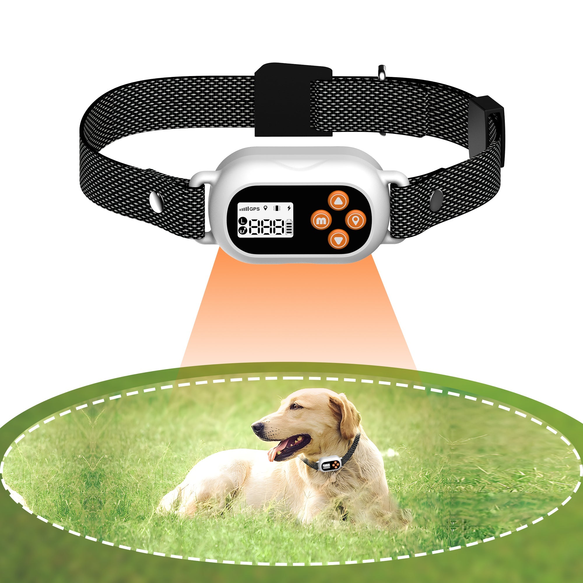 Pawfey SmartPro F820 GPS Trådløs Hundegjerde Krage