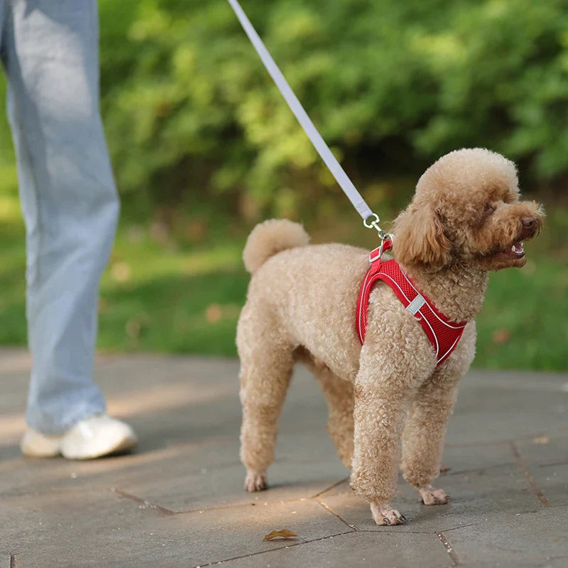 Myk mesh hundesele med gratis bånd