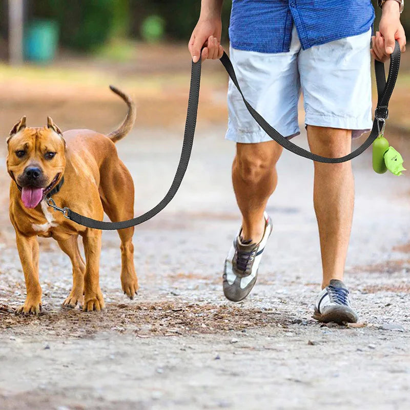 Laisse réfléchissante pour chien avec fermoir renforcé