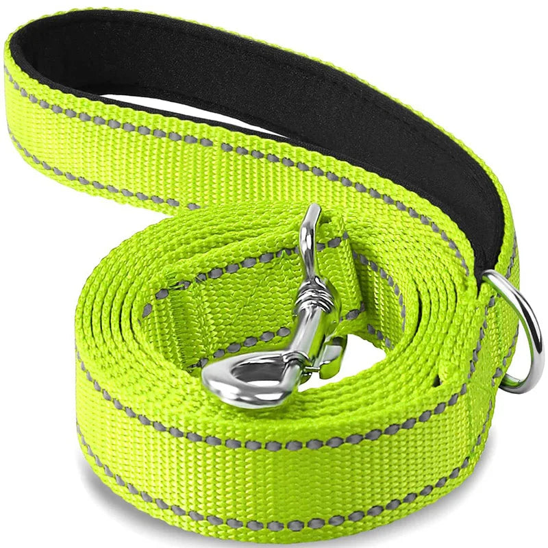 Reflective Dog Leash with Strengthened Clasp