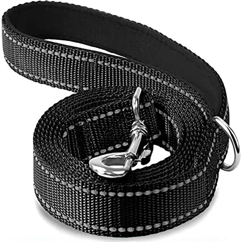 Reflective Dog Leash with Strengthened Clasp