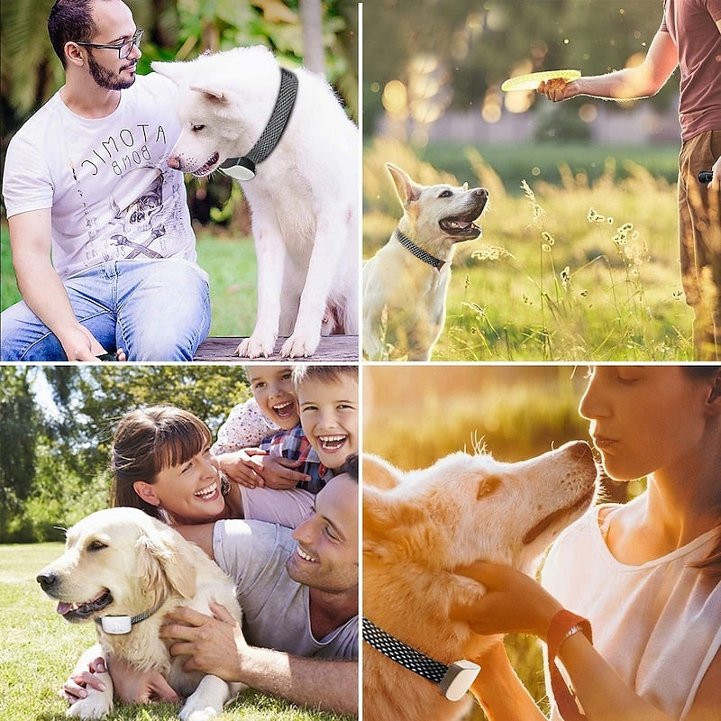 Genopladeligt vandtæt berøringsskærm anti-gø-hundehalsbånd