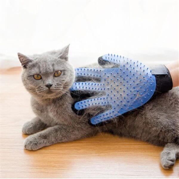 My Furry Friend™ - Cepillo para guantes