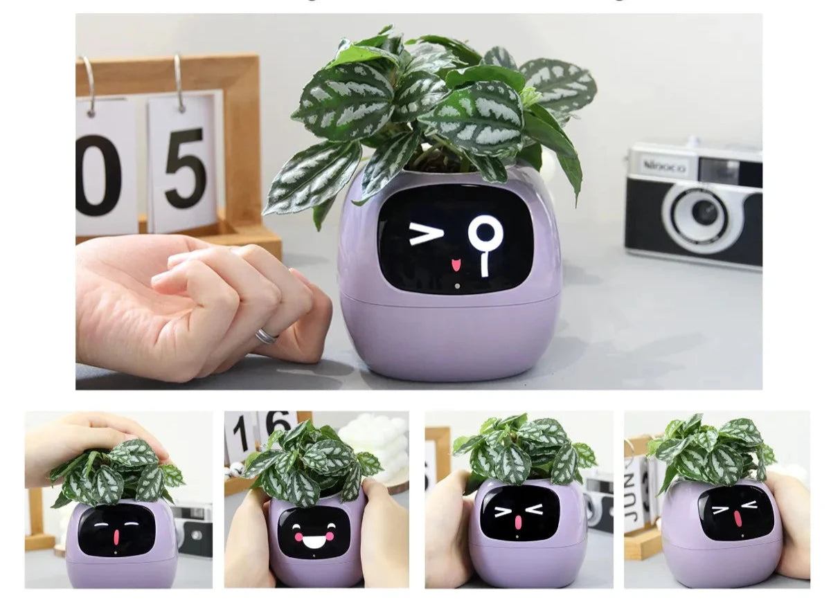 Ivy's Smart Planter: 49 uttrykk og AI-sensorer for plantepleie