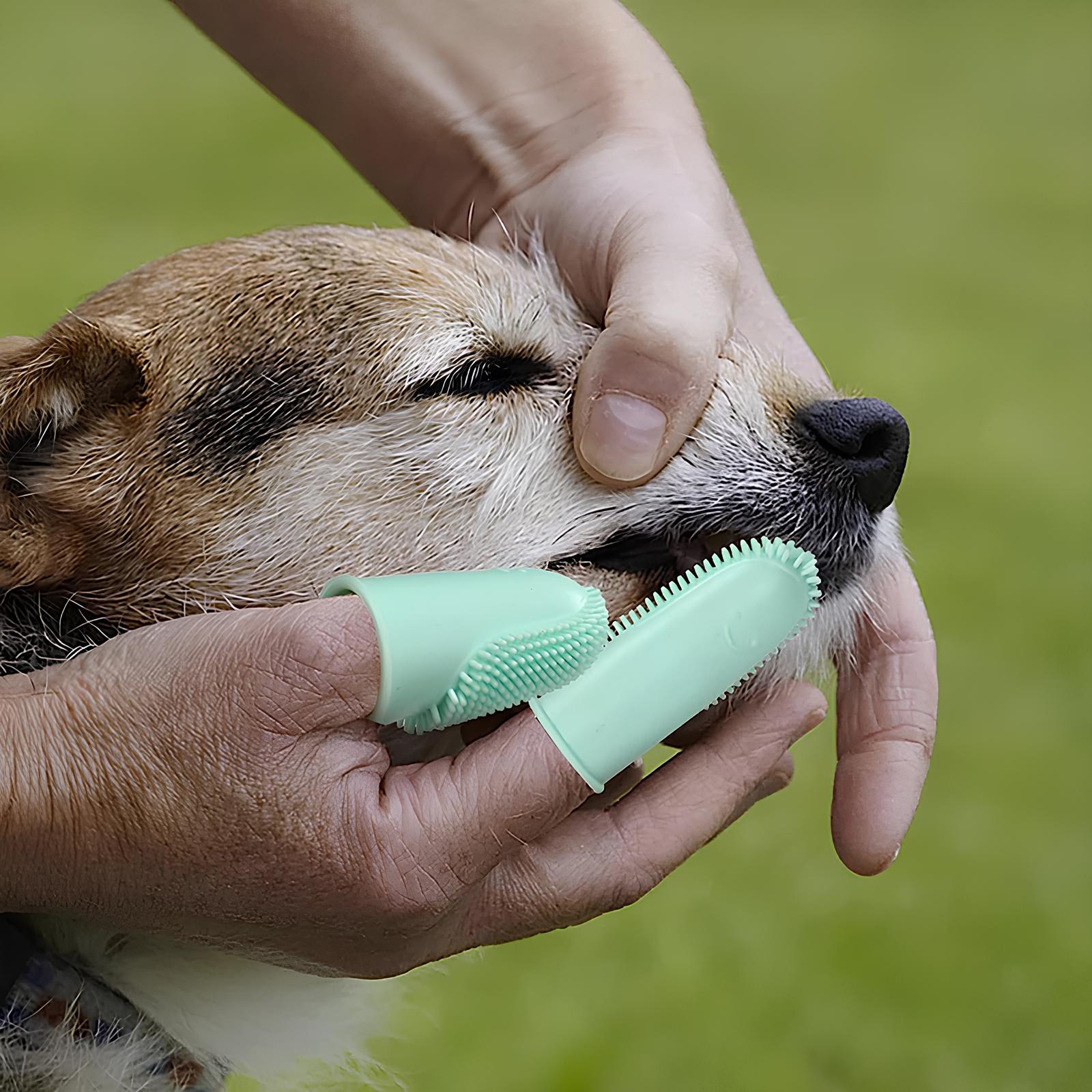 Hund Silikon Fingerzahnbürste