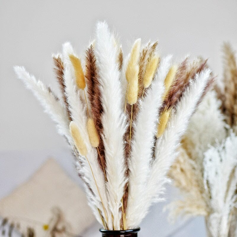 80PCS Natural Dried Pampas Grass Bouquet