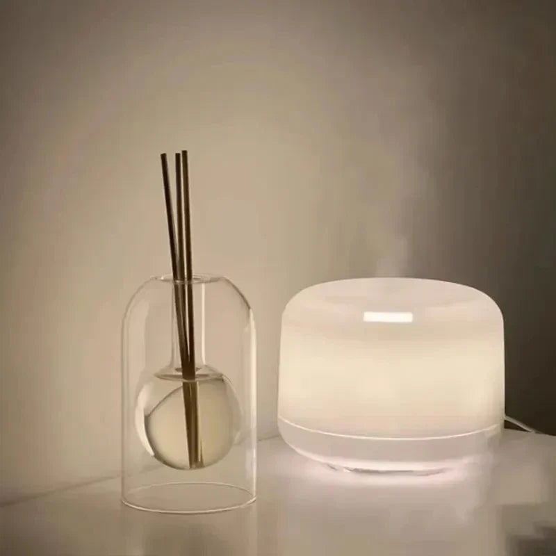 Bottiglia diffusore in vetro doppio | Vaso per aromaterapia resistente ed elegante per fragranze per la casa