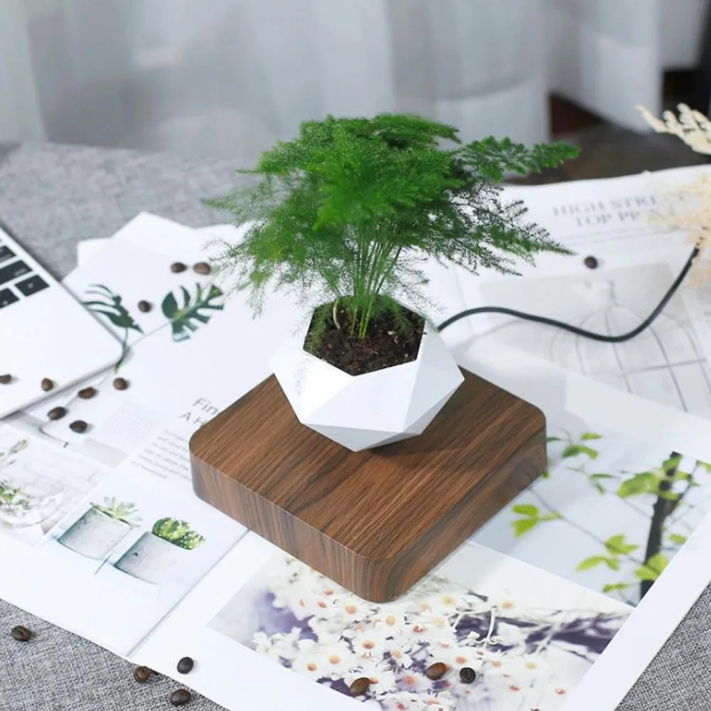 Pot à bonsaï magnétique en lévitation – Jardinière rotative flottante pour la décoration de la maison