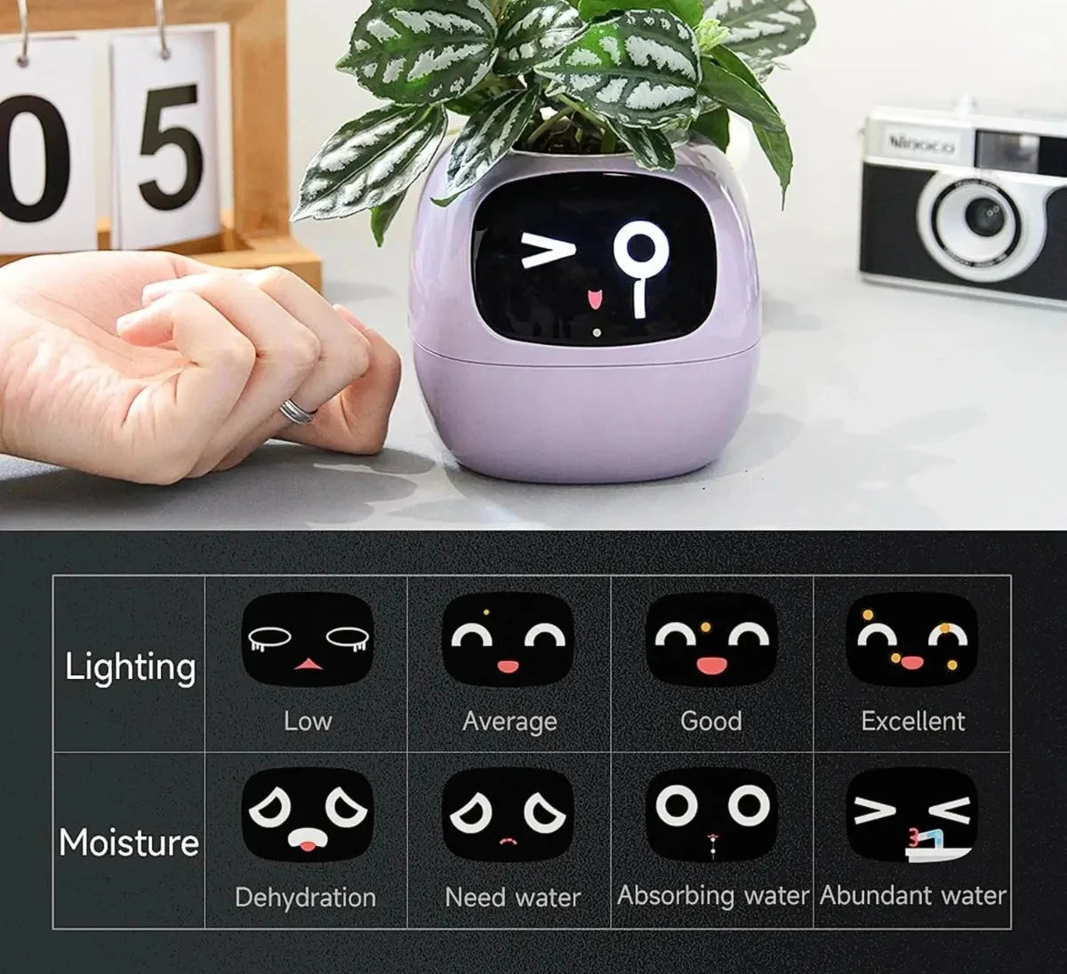 Ivy's Smart Planter: 49 expressies en AI-sensoren voor plantenverzorging