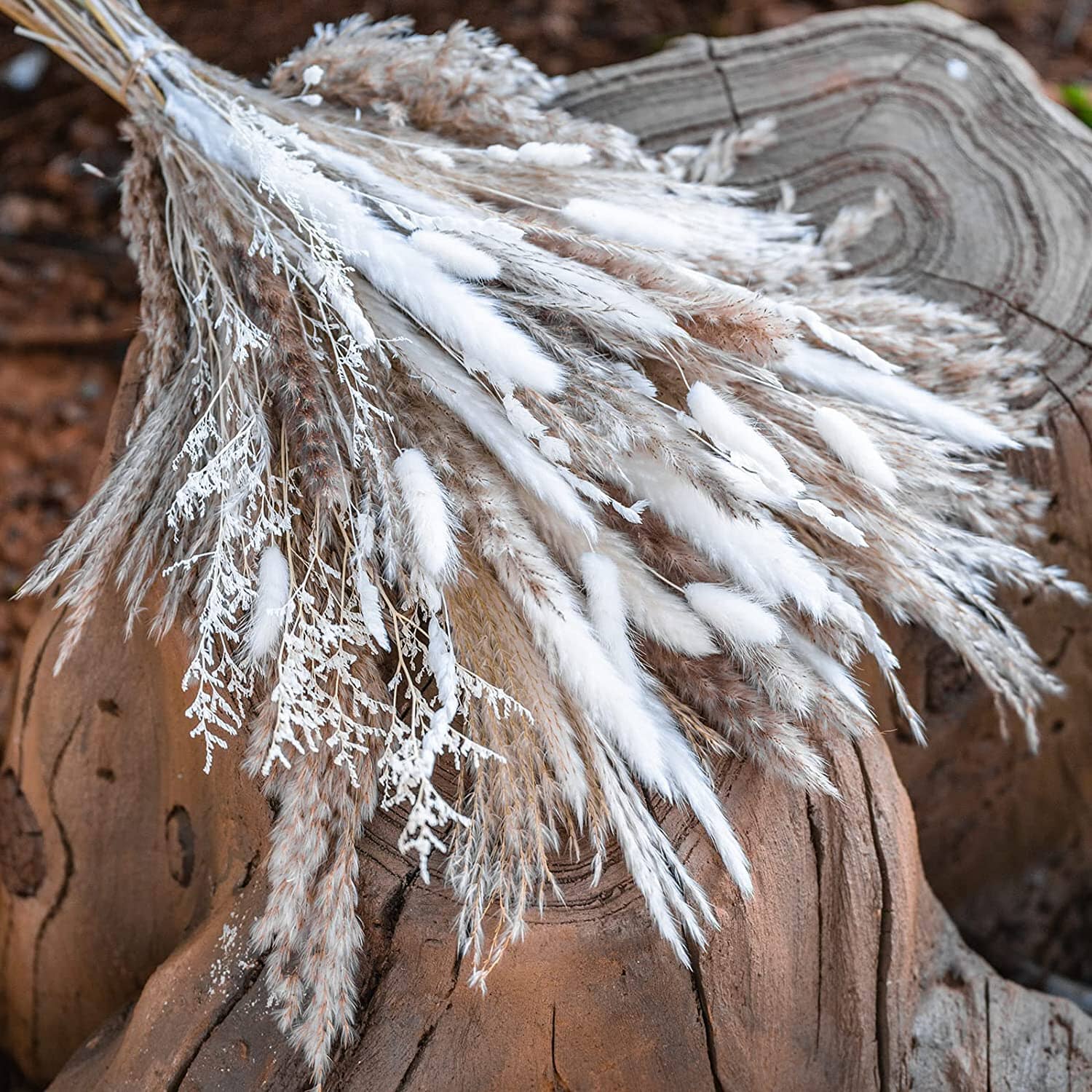 80PCS Natural Dried Pampas Grass Bouquet