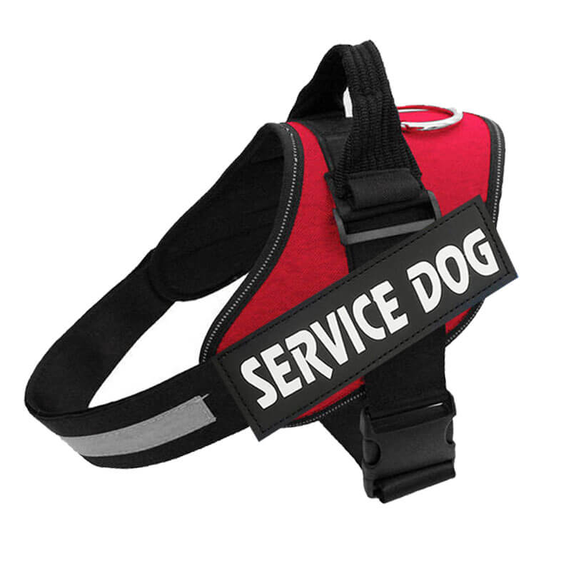 My Furry Friend™ - Customisable Power Harness