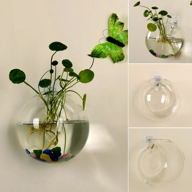 Flydende vase - Hængende glas hydroponisk vase