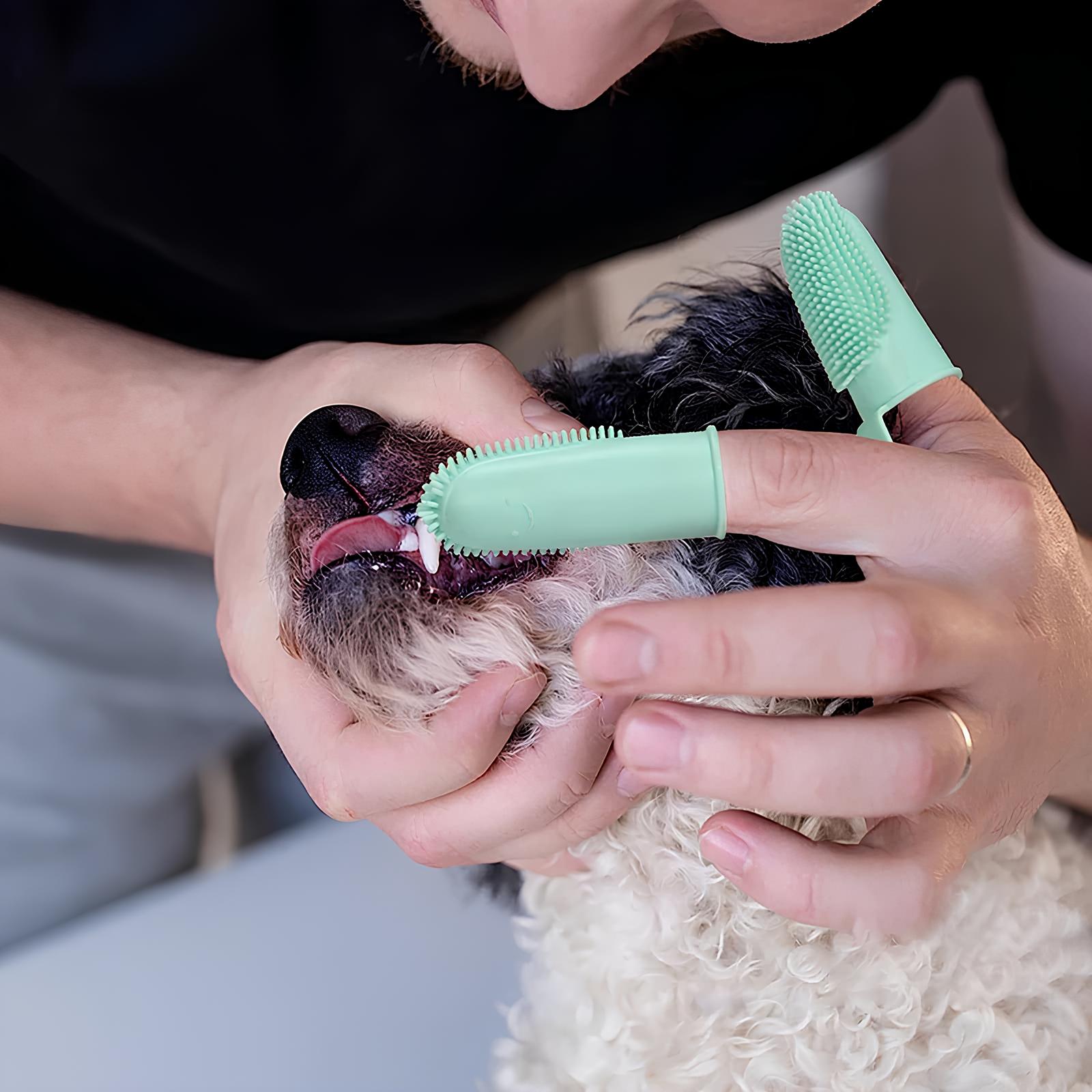 Hund Silikon Fingerzahnbürste