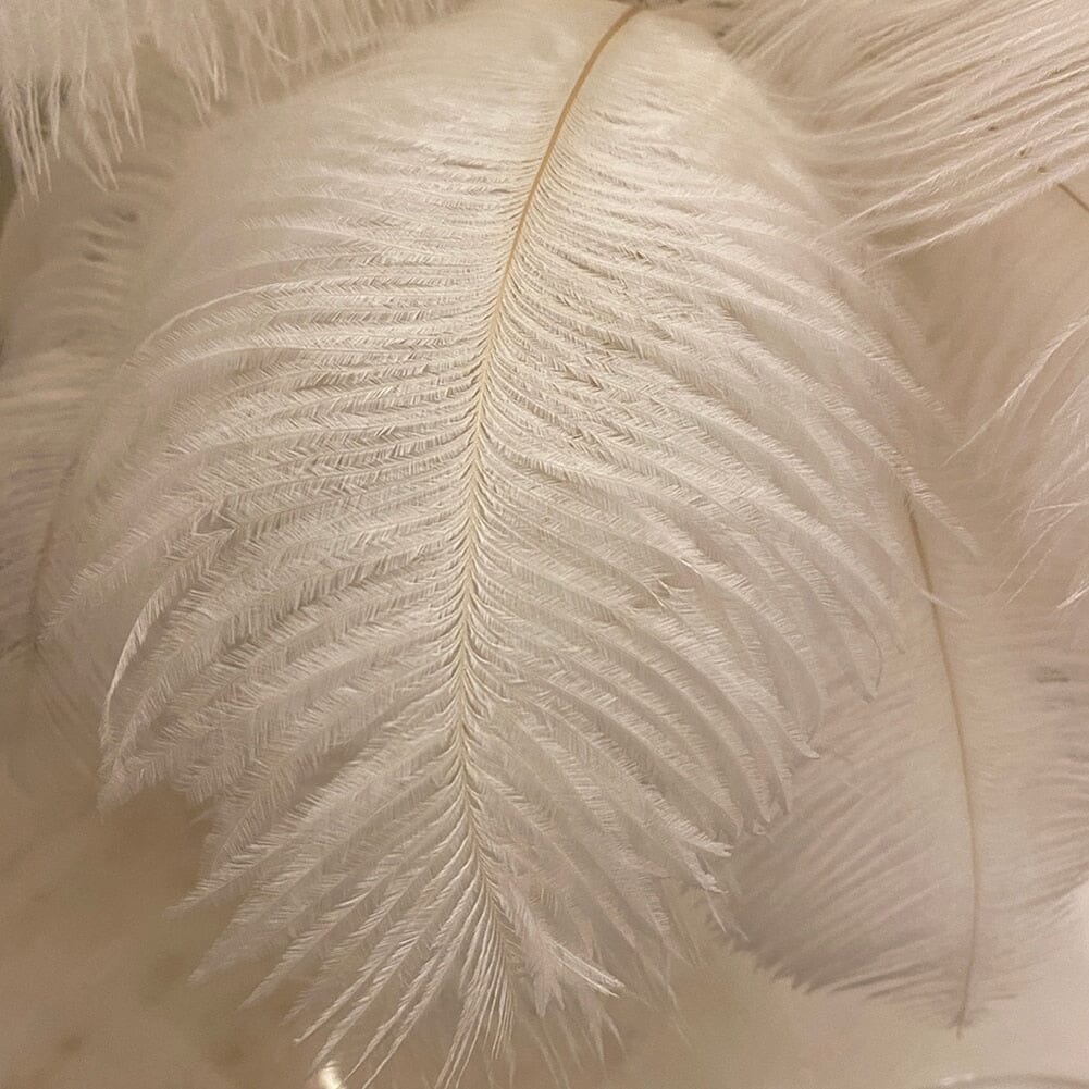 Luxury LED Feather Lamp