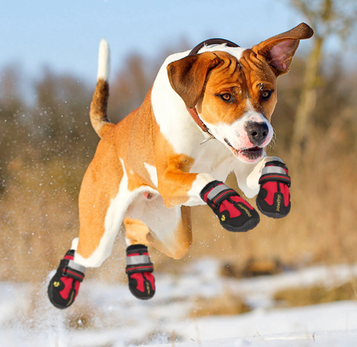 Henri Marcheur - Non-slip dog boots