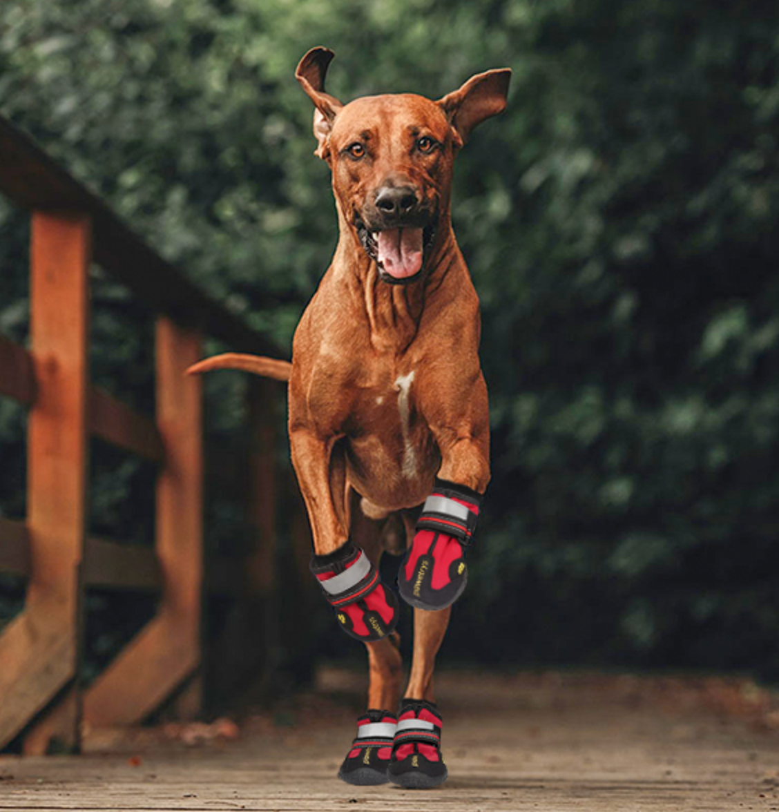 Henri Marcheur - Botas antideslizantes para perros