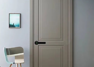 Sara Smart Fingerprint Door Lock – Keyless Entry with Tuya App & Bluetooth