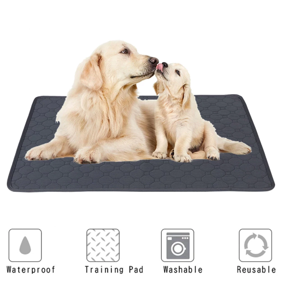 Couverture lavable pour chien | Tapis d'entraînement imperméable et réutilisable