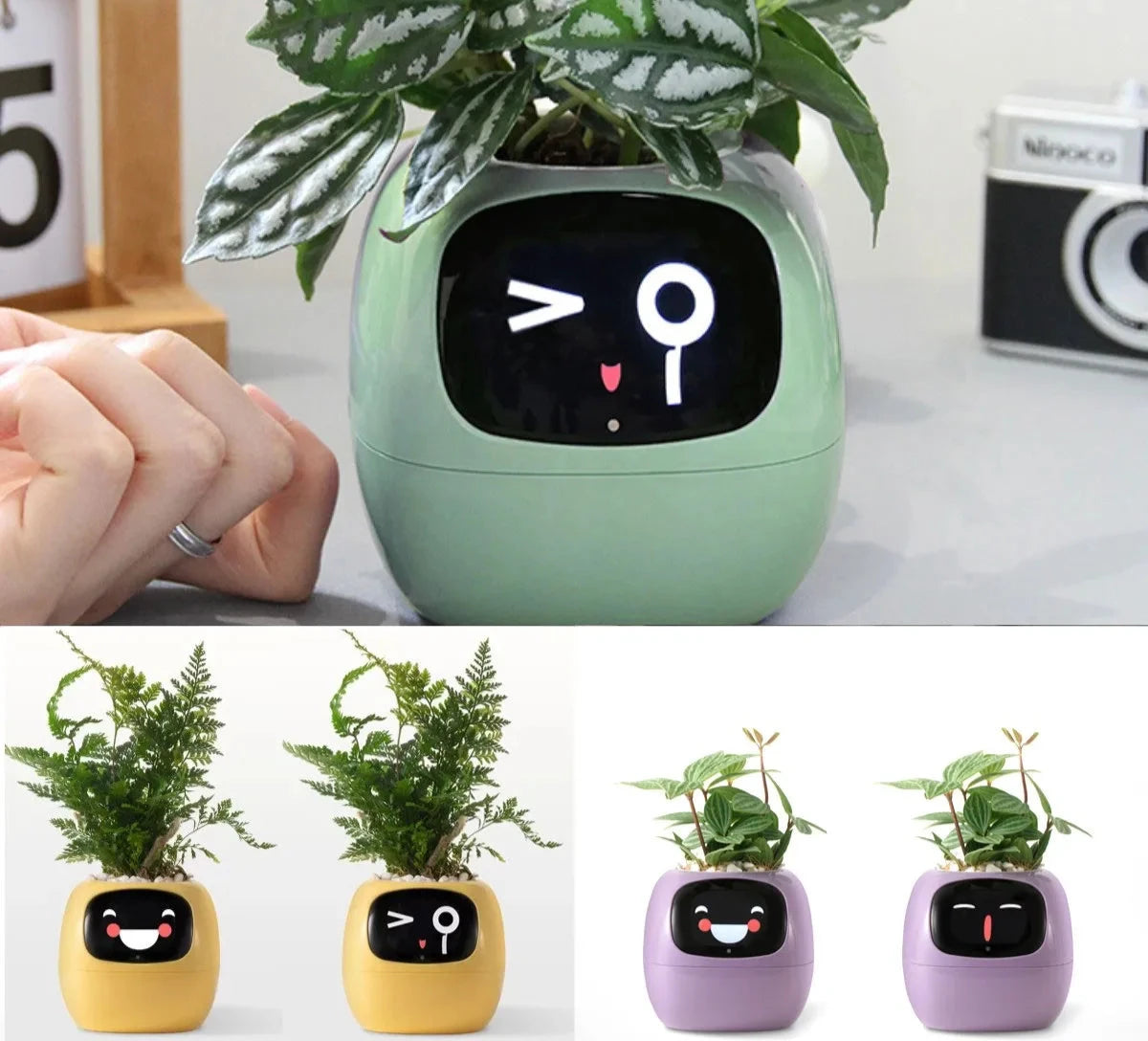 Smart Planter de Ivy: 49 expresiones y sensores de inteligencia artificial para el cuidado de las plantas