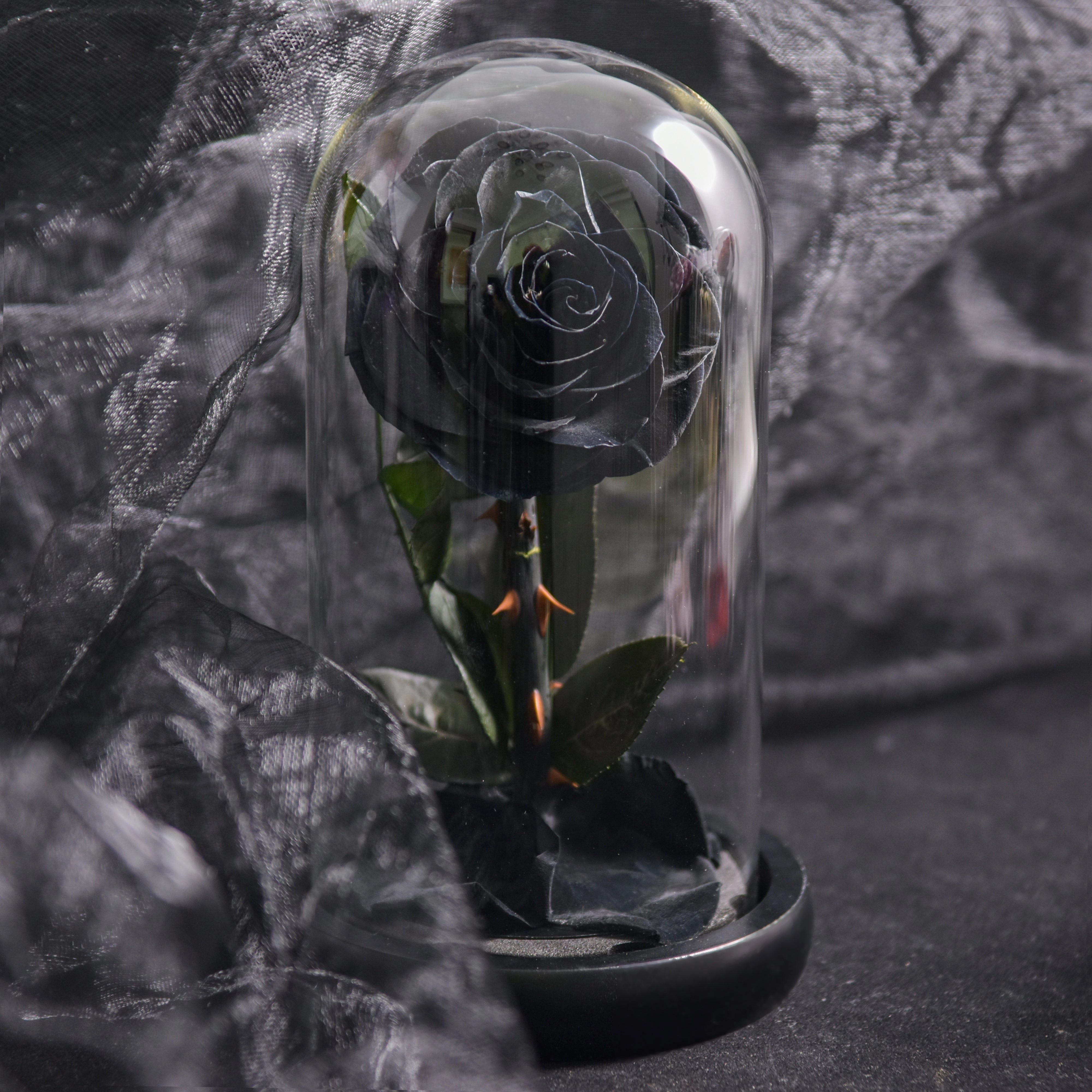 Preserved Glass Dome Rose - Luxury Romantic Gift for Valentine's Day