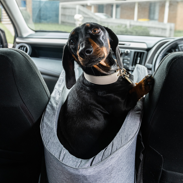 Viaggiatore SafePup | Seggiolino auto per il TUO AMICO A QUATTRO ZAMPE