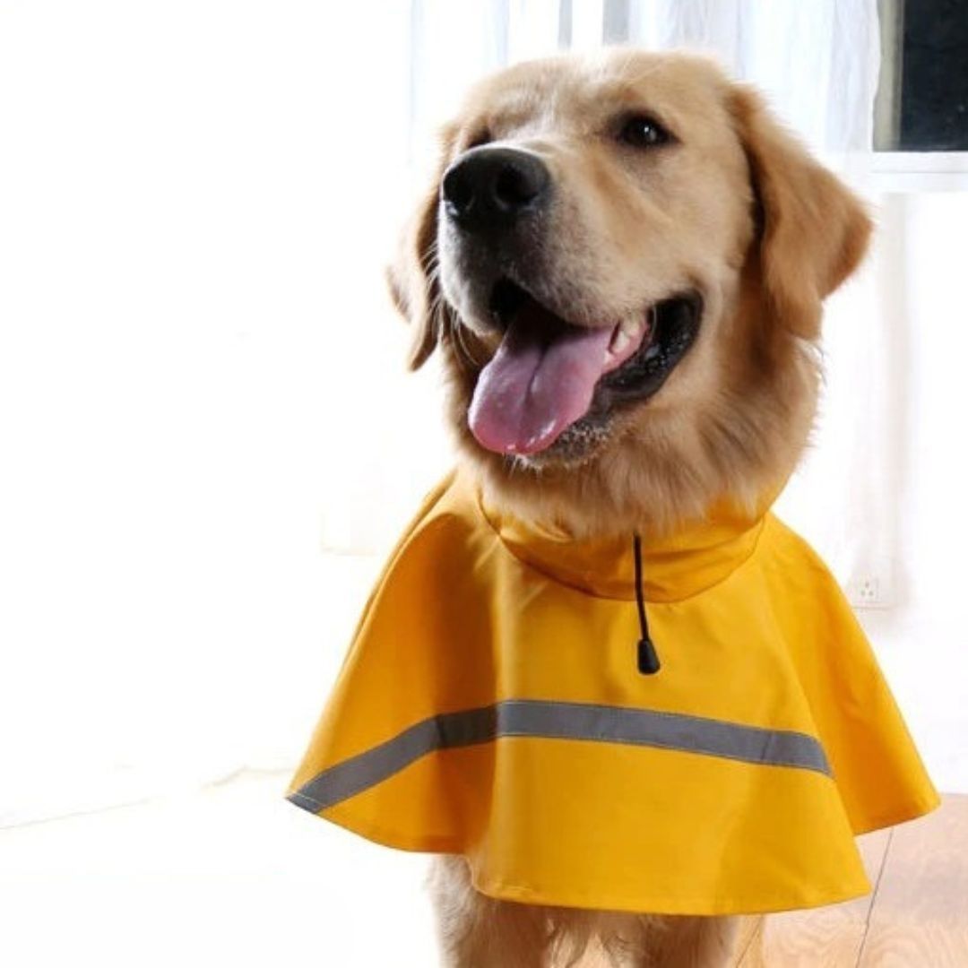 My Furry Friend™ - Reflective Raincoat