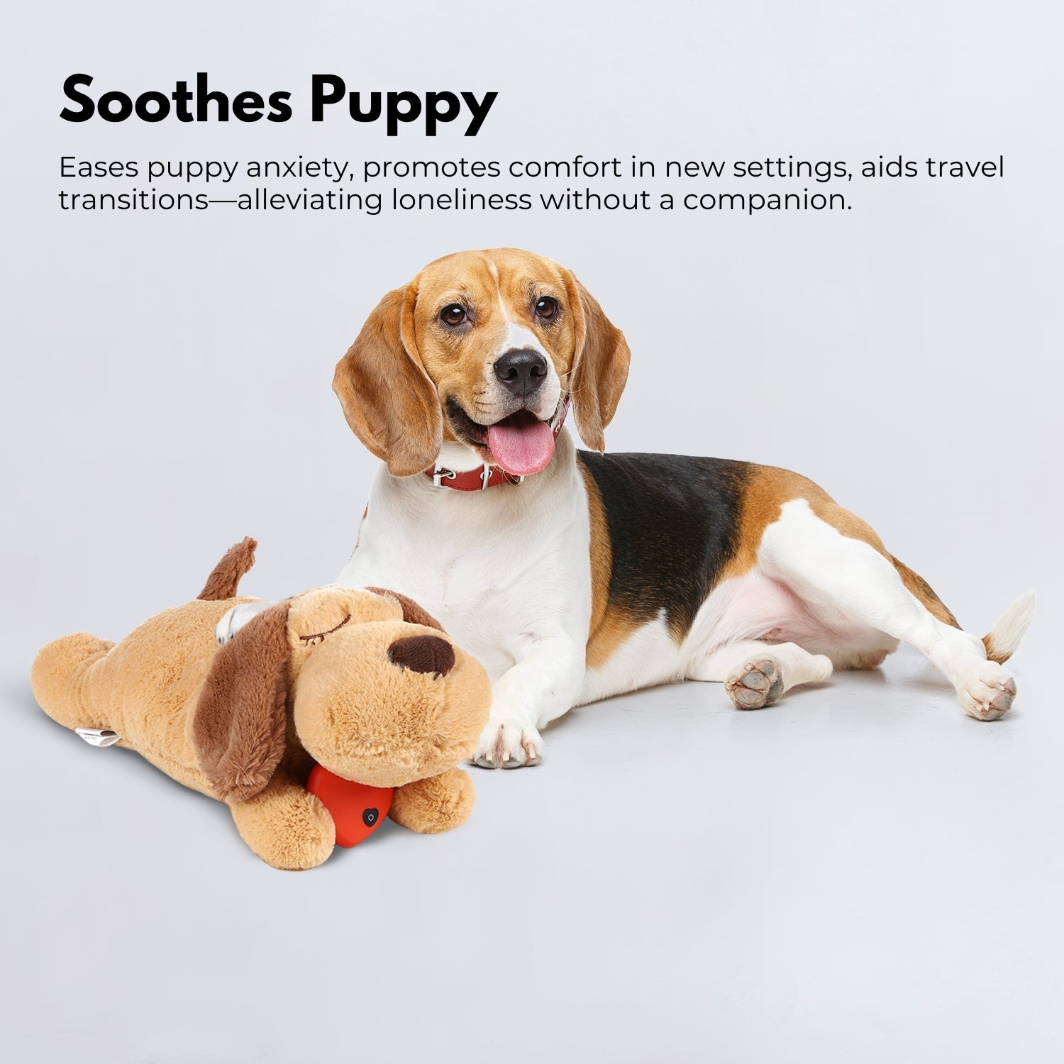 Jouet en peluche apaisant pour chien avec battement de cœur apaisant pour le confort du chiot