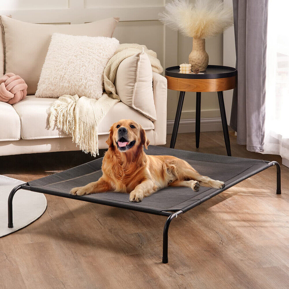 Cama para perros con trampolín elevado para trabajo pesado: comodidad extra grande