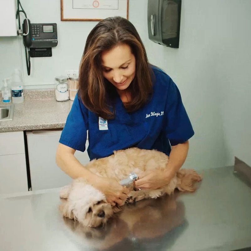 MAX - Best Dog Nail Clippers with Fast Sensors