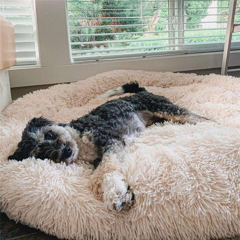 My Furry Friend™ - World's #1 Anxiety Relieving Dog Bed