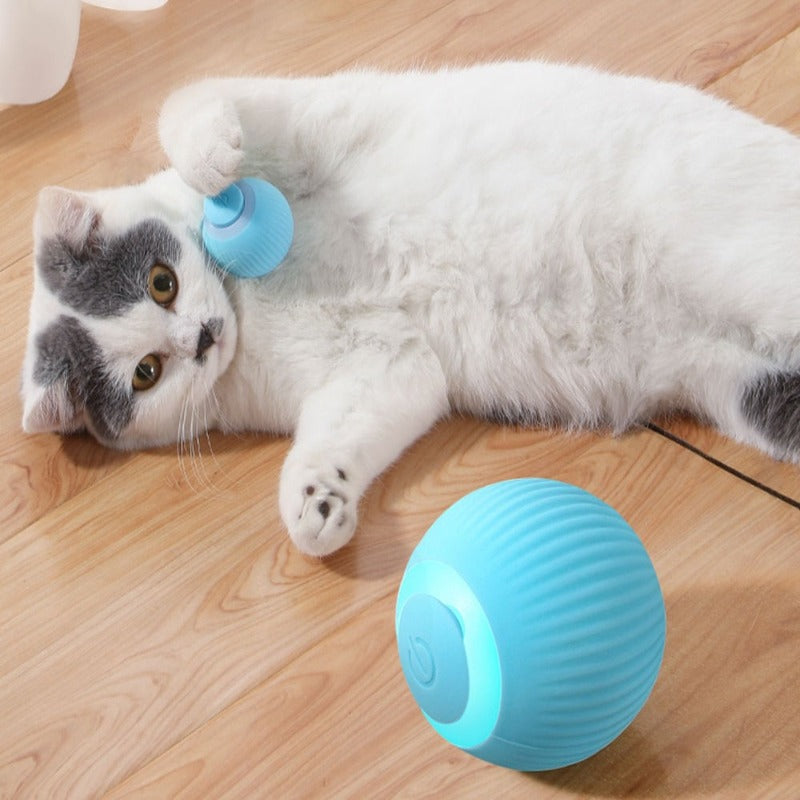 RoboRoller | Automatisk Rolling Magic Ball til katte og hunde