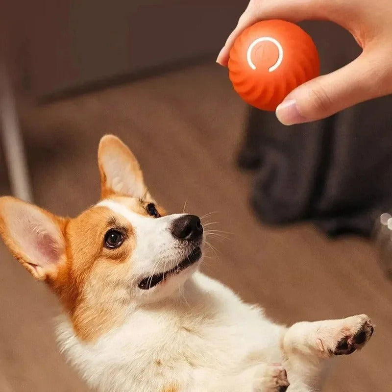 Maxime Player - Pelota interactiva para perros