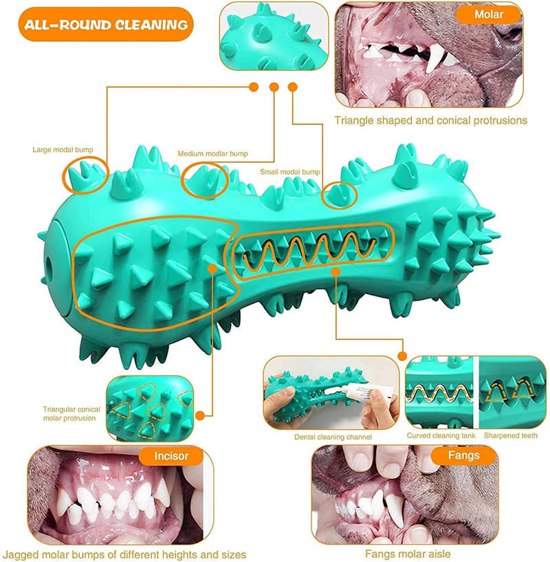 Bâton dentaire BiteClean : jouet à mâcher en caoutchouc pour la santé des dents de chien