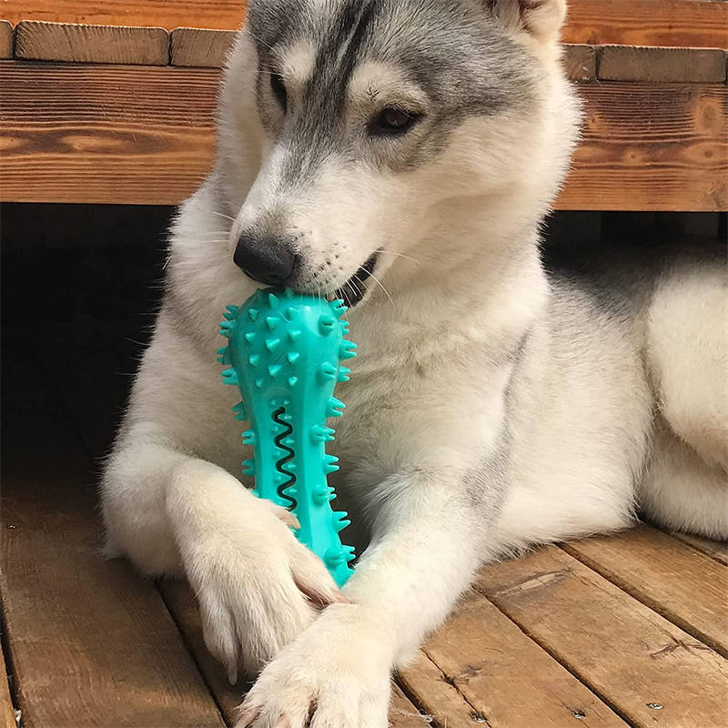 Bâton dentaire BiteClean : jouet à mâcher en caoutchouc pour la santé des dents de chien