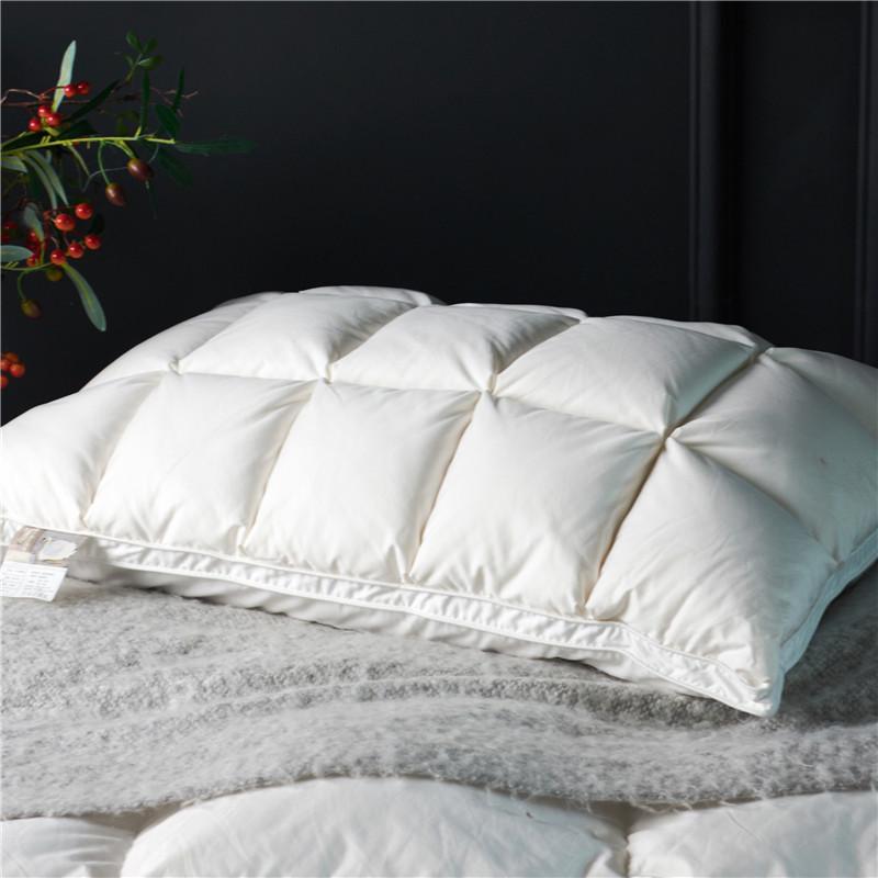 Minimalist Goose Down Pillow Pair