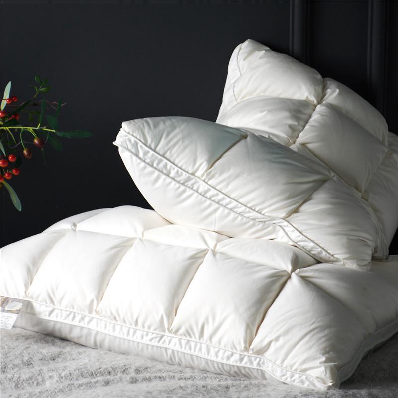 Minimalist Goose Down Pillow Pair