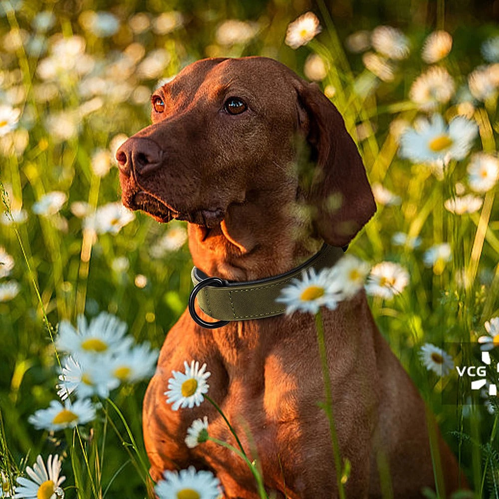 Marcel Collier - Voor grote honden