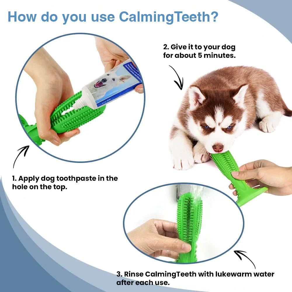 CalmingTeeth -  Durable Dog Chew Toy Toothbrush