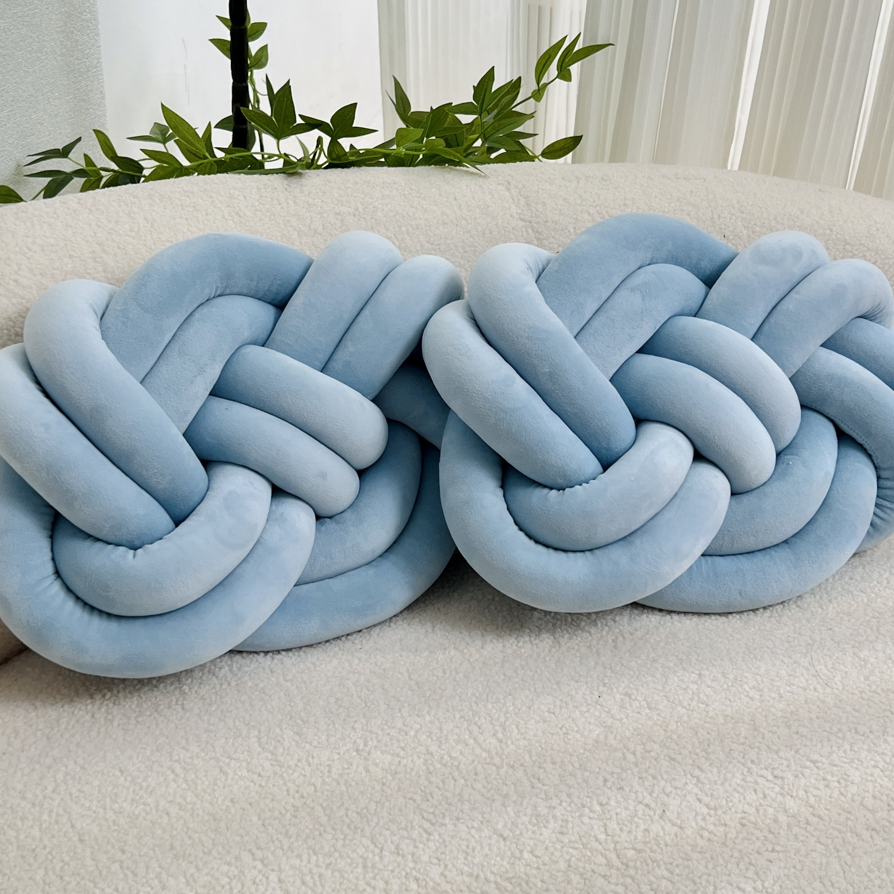 PlumeDouce - Lot de 2 Coussins Décoratifs en Peluche