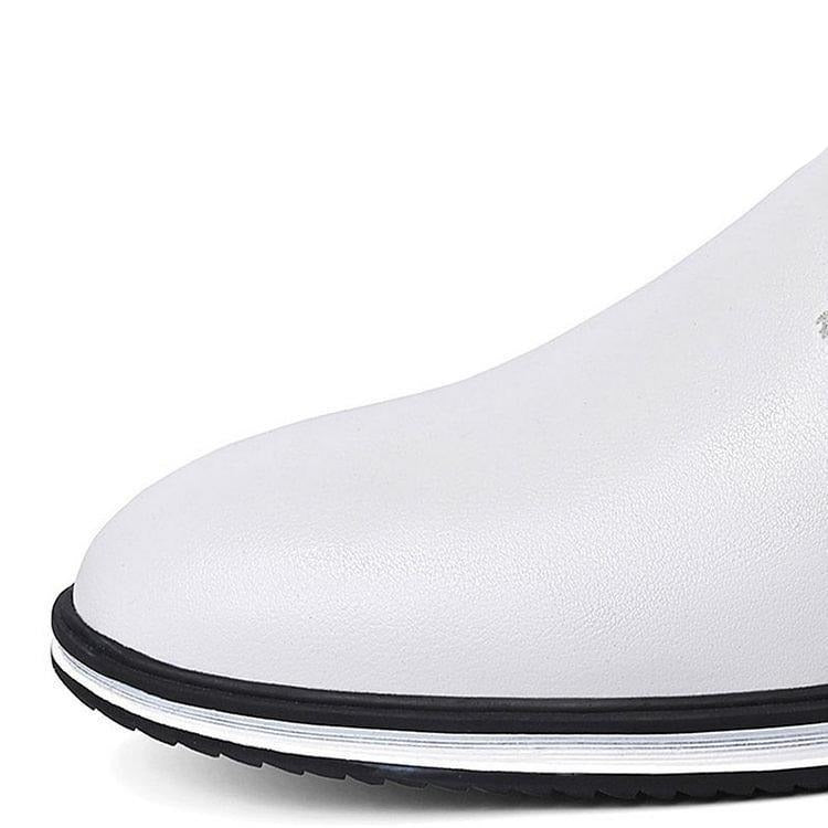 Classic elegance: 'ElegantStride' premium leather loafers for men