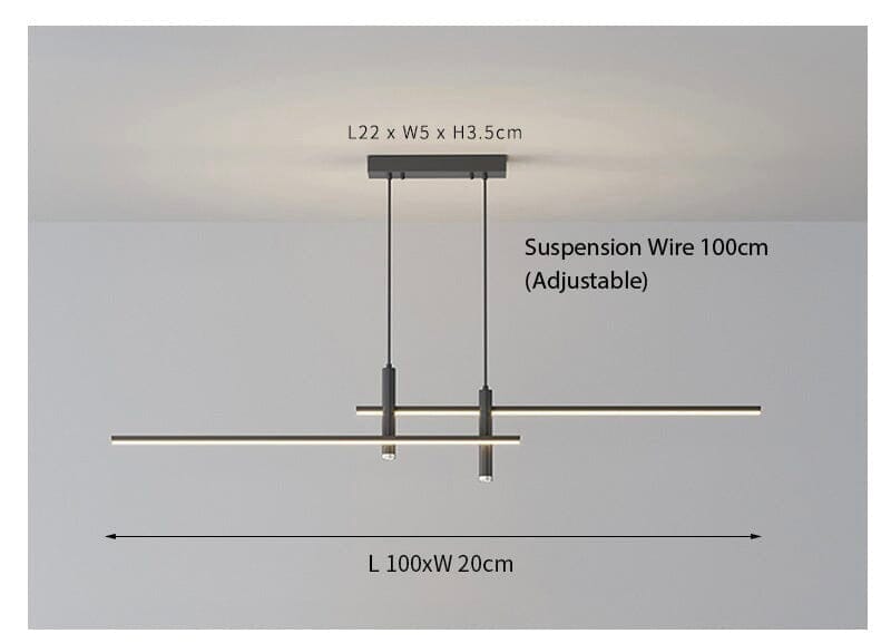 La lampada a sospensione Dual