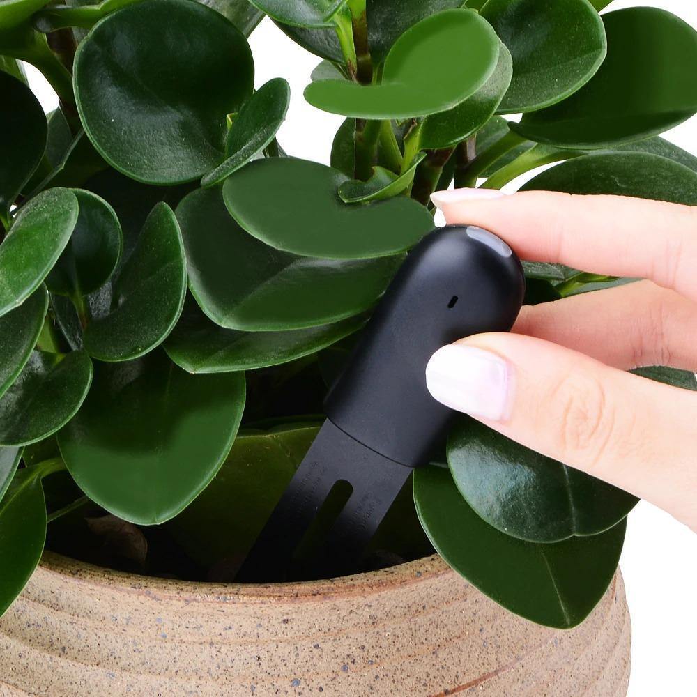 Medidor de agua y sensor de salud inteligente para plantas