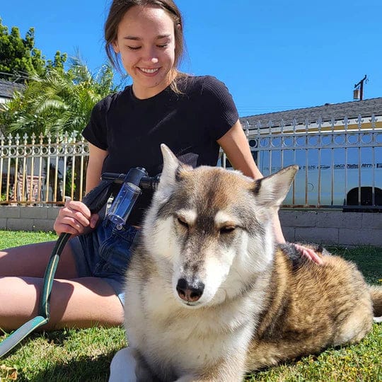 Canishower Pro – Hochleistungs-Badesystem für Hunde