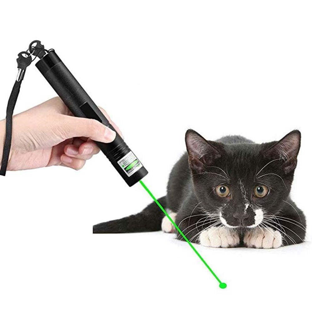 Højtydende laserpointer 303