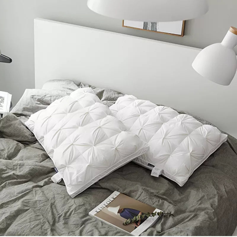 Minimalist Goose Down Pillow Pair